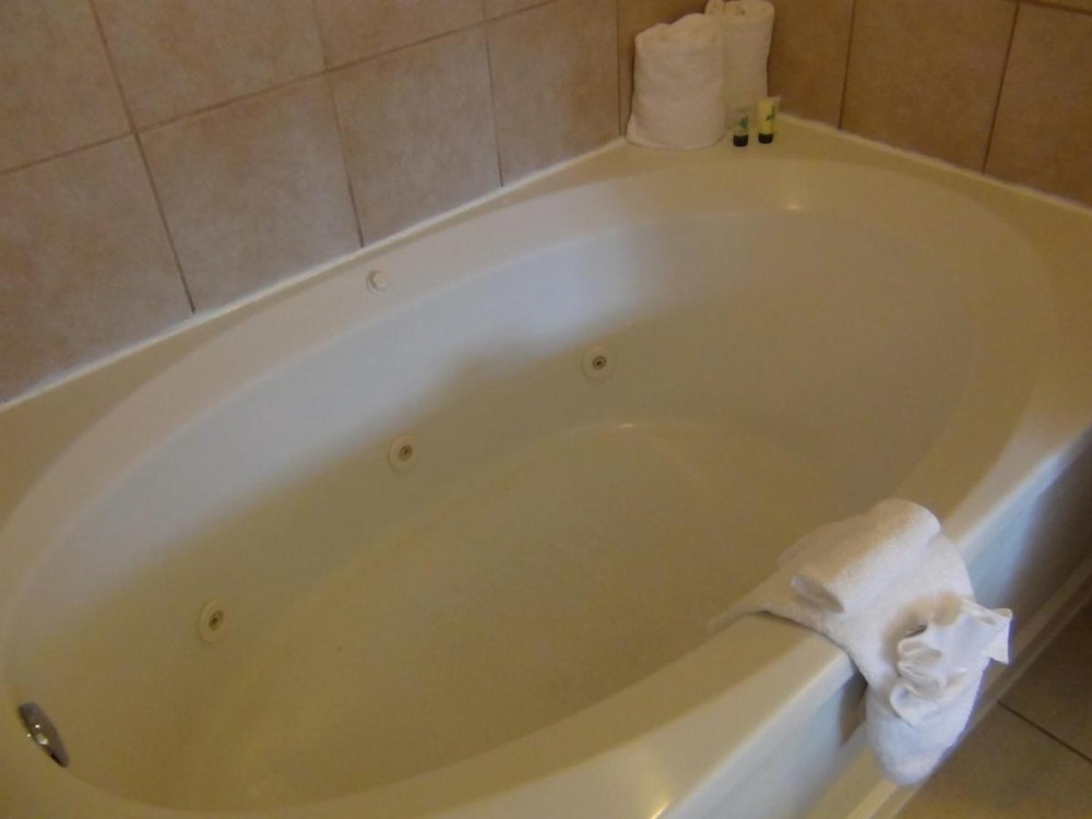 Alpine Inn And Spa Main image